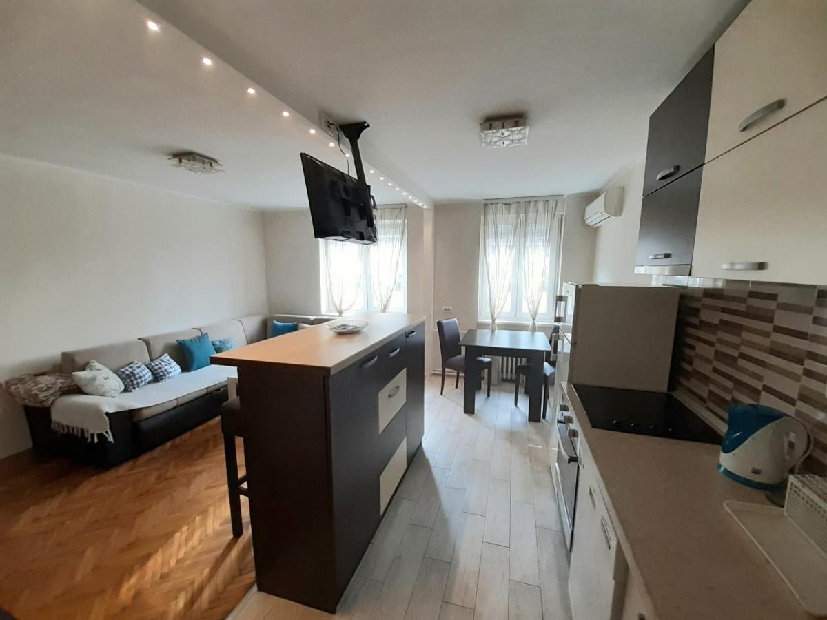 Central Apartment With Garage Нови Сад Екстериор снимка
